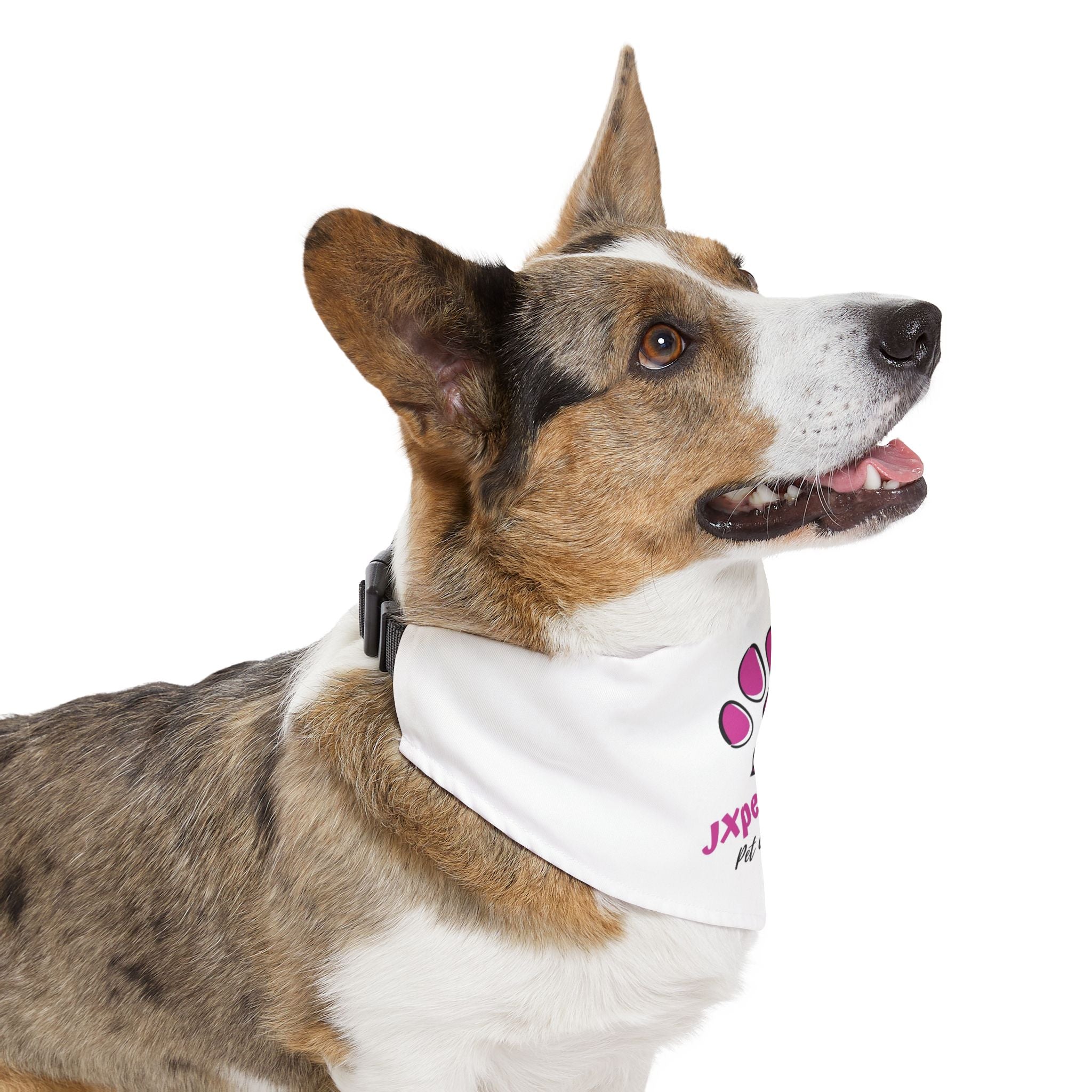 Pet Bandana Collar — White Dog & Cat Bandana with our JXpetswag Logo