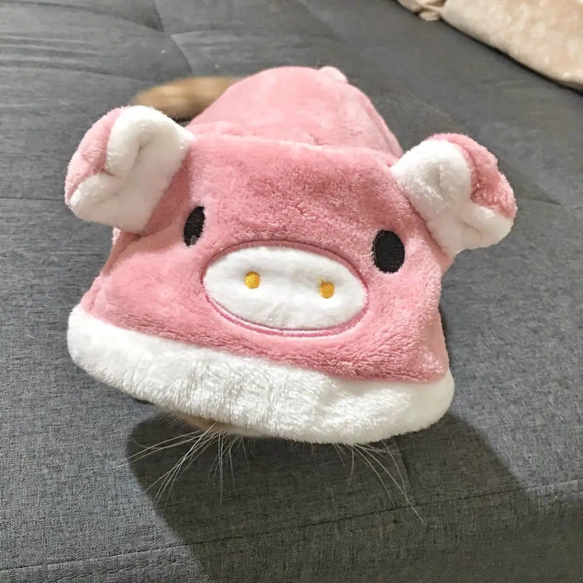 Pet Costume for Small Dogs and Cats
