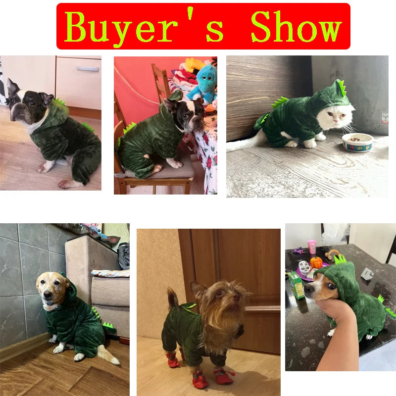 Pet Costume for Small Dogs and Cats