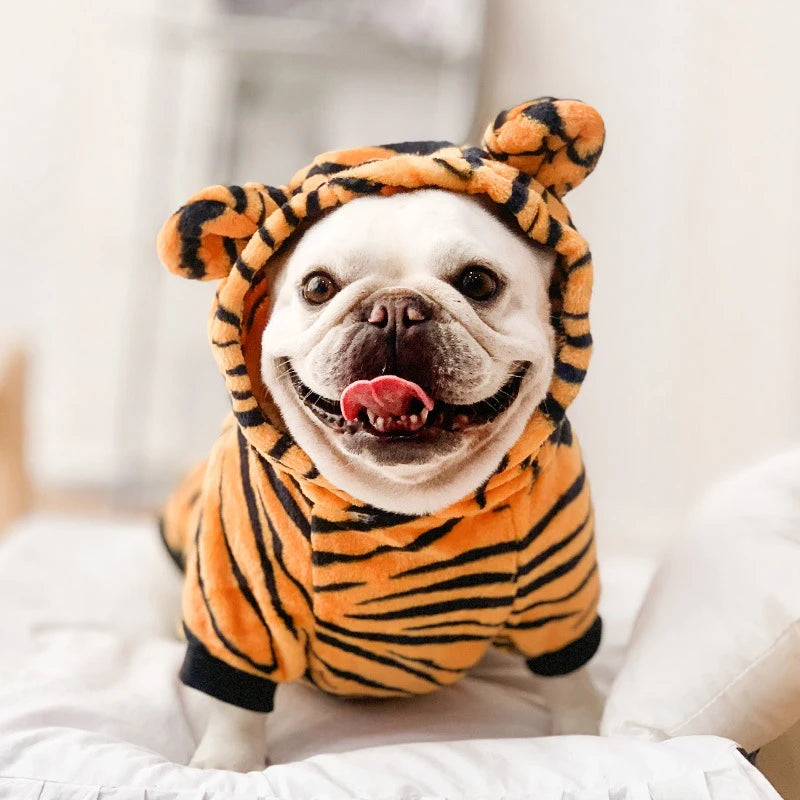 Pet Costume for Small Dogs and Cats