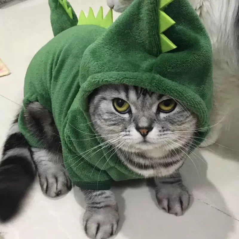 Pet Costume for Small Dogs and Cats