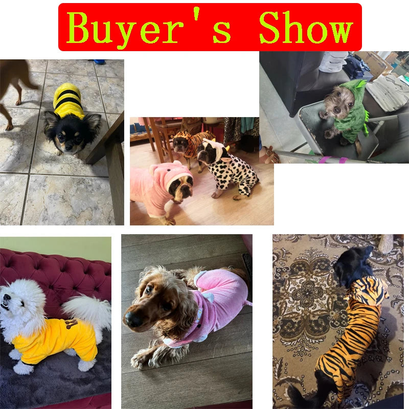 Pet Costume for Small Dogs and Cats