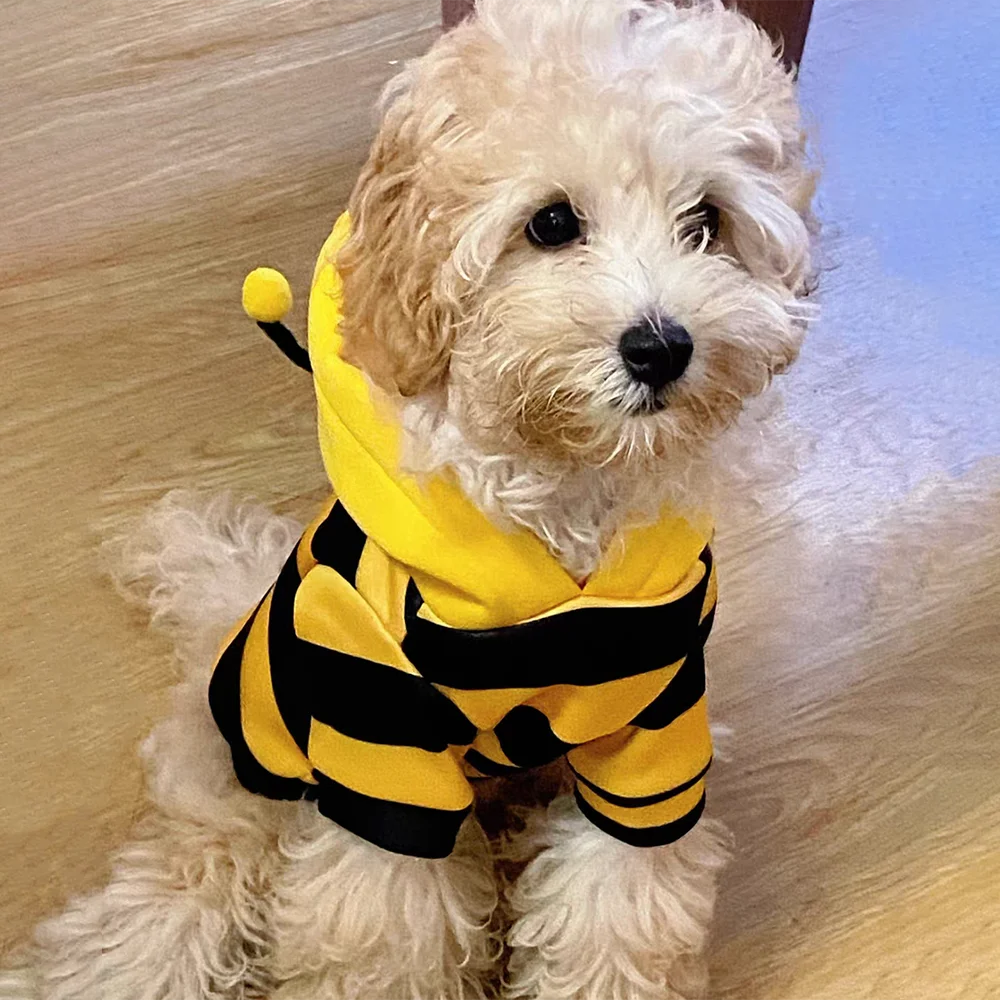Bee Costume Pet Hoodie