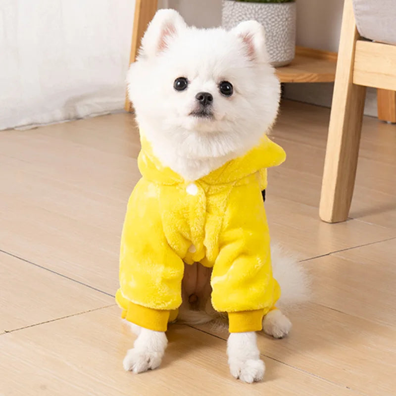 Pet Costume for Small Dogs and Cats