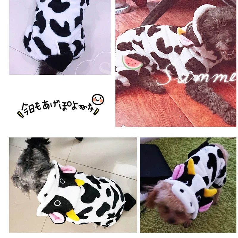Pet Costume for Small Dogs and Cats