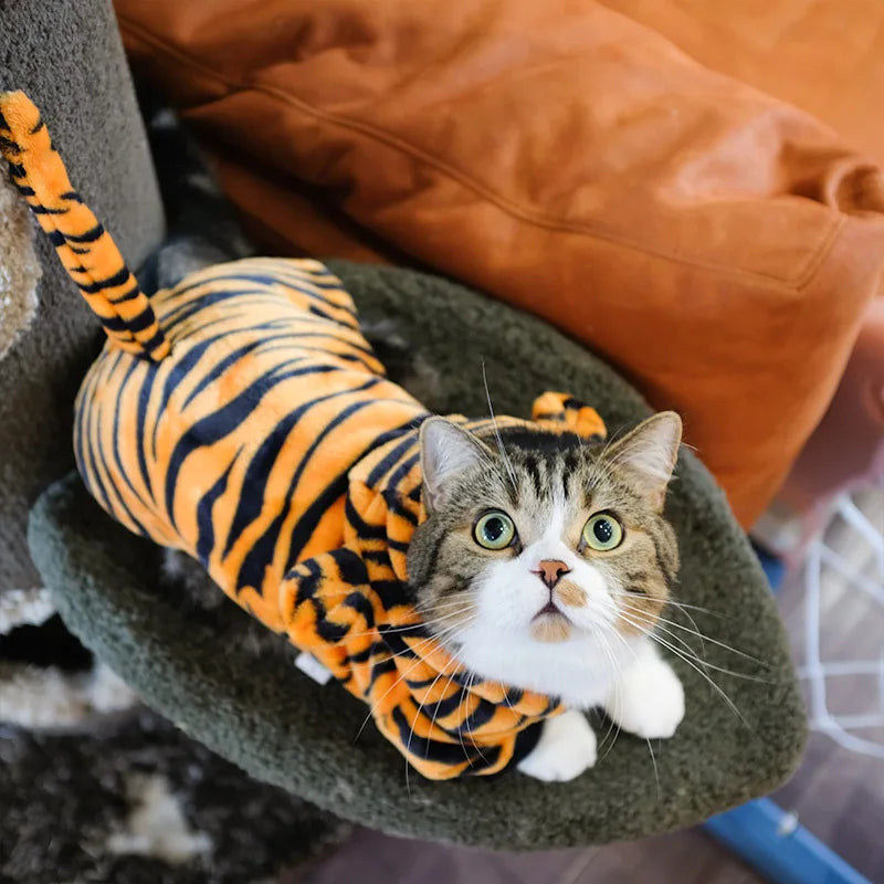 Pet Costume for Small Dogs and Cats