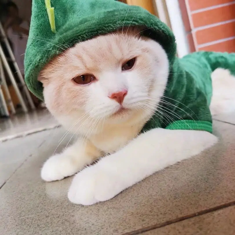 Pet Costume for Small Dogs and Cats